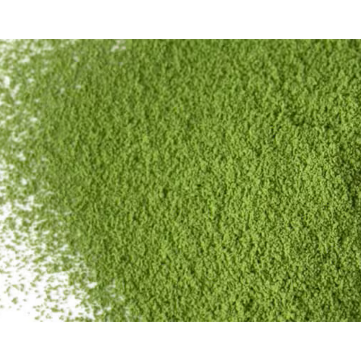 SAIJOEN by AIYA Myogetsu Nishio Matcha for Usucha