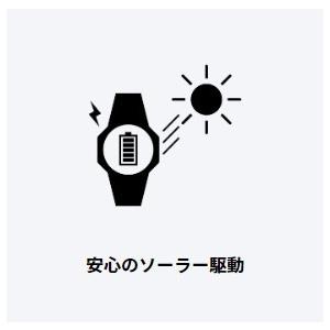 CASIO・Casio Collection STANDARD W-S220-1AJH