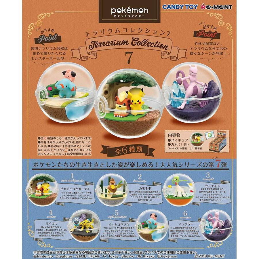 Re-Ment Pokémon Terrarium Collection 7 Box Set (6 Types)