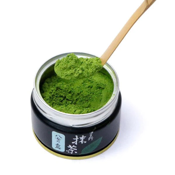 Hoshino Seicha Yame Matcha Yame no Tsuyu Ceremonial Grade 20g Japan