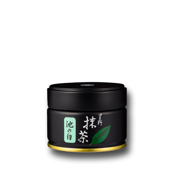 Yame matcha "Ikenoshiro" 20g can Hoshino Seicha
