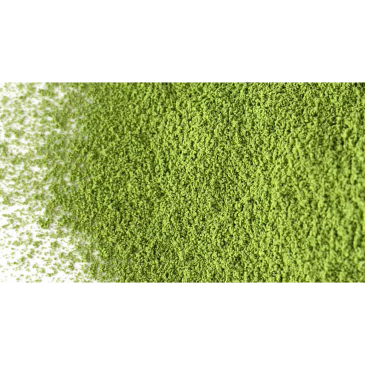 SAIJOEN by AIYA Shinen no Shiro Nishio Matcha for Usucha