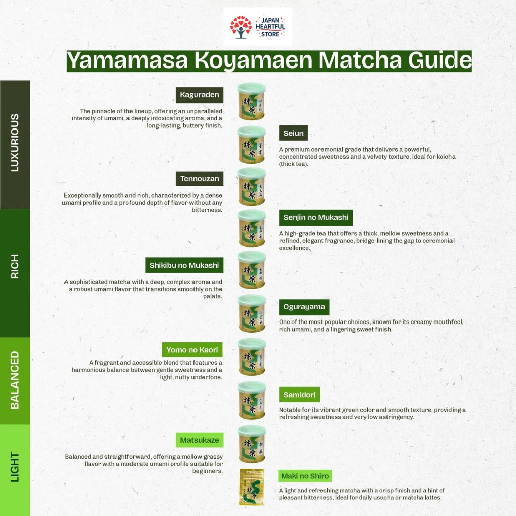 Yamamasa Koyamaen Nebula Koicha Uji Matcha Green Tea Powder