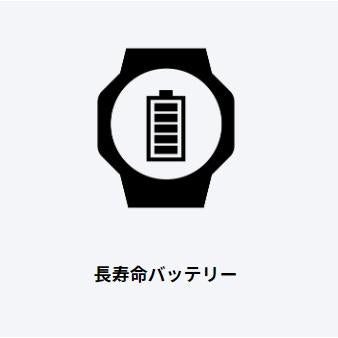 CASIO 10 ATM water resistant watch Collection STANDARD W-735H-8AJH